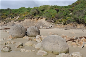 Moeraki Boulders